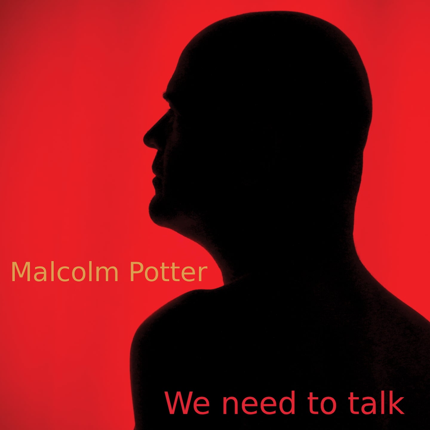 Pochette de : WE NEED TO TALK - MALCOLM POTTER (CD)
