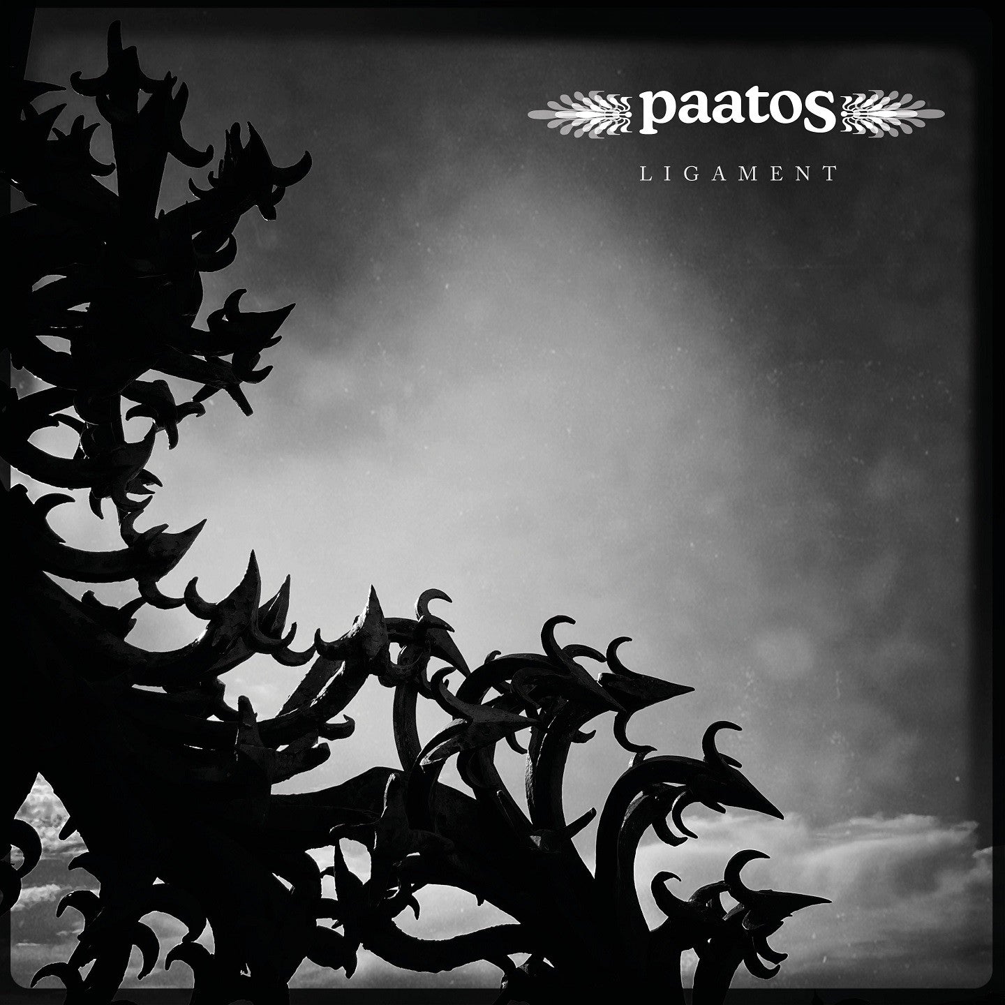 Pochette de : LIGAMENT - PAATOS (CD)
