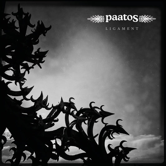 Pochette de : LIGAMENT - PAATOS (CD)