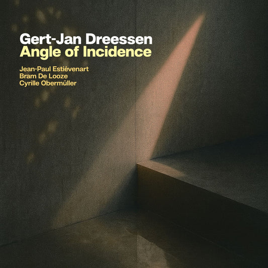 Pochette de : ANGLE OF INCIDENCE - GERT-JAN DREESSEN (CD)