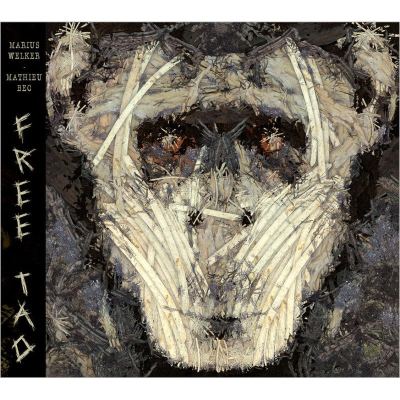 Pochette de : FREE TAO - MARIUS WELKER , MATHIEU BEC (CD)