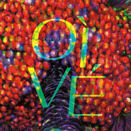 Pochette de : OI VE - PIXVAE (VINYLE 33T)
