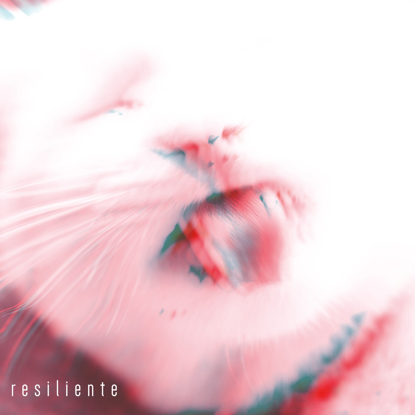 Pochette de : RESILIENTE - MULA (VINYLE 33T)