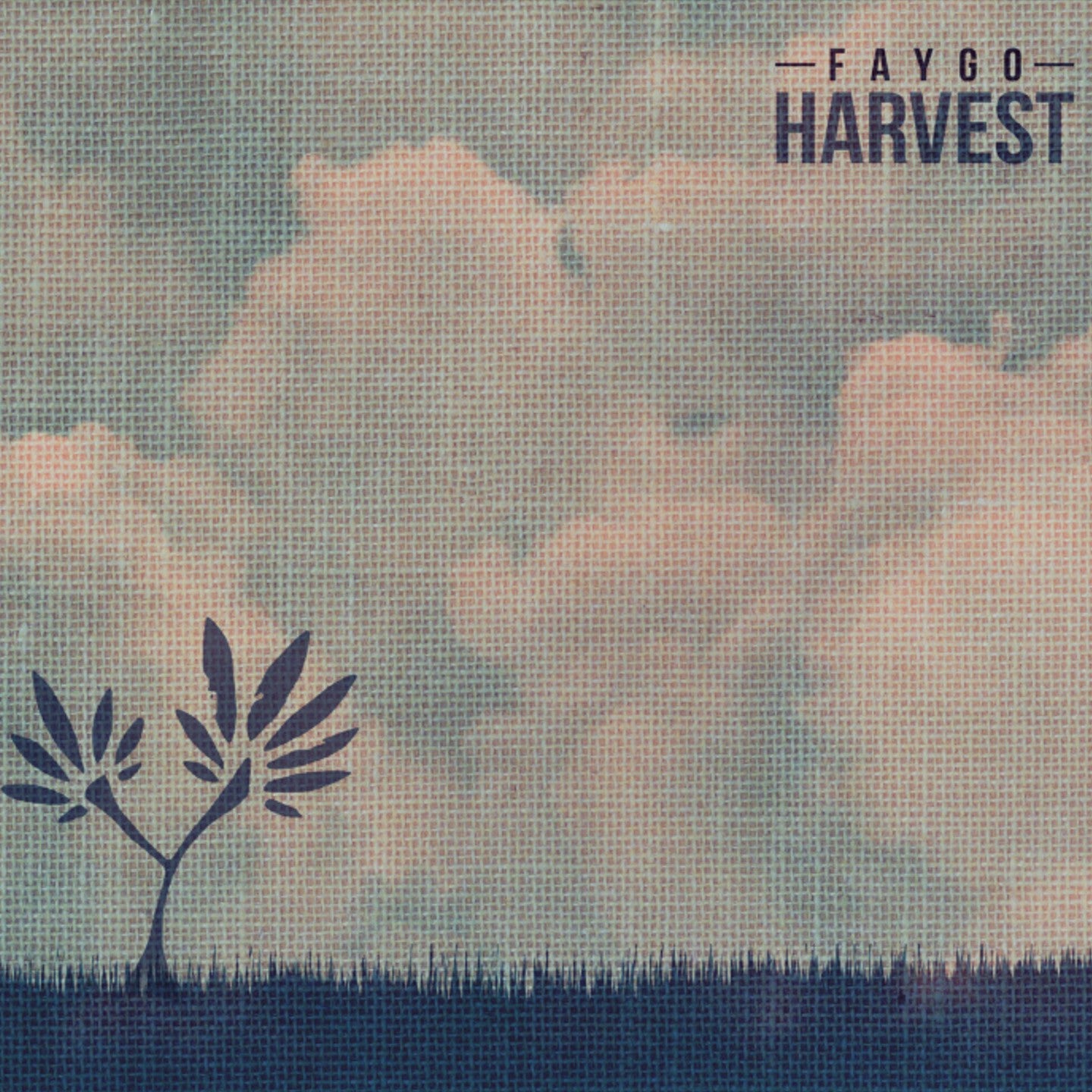 Pochette de : HARVEST - FAYGO (CD)