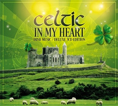 Pochette de : CELTIC IN MY HEART - MULTI ARTISTES (DOUBLE CD)