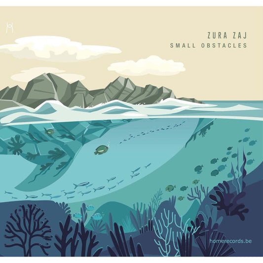 Pochette de : SMALL OBSTACLES - ZURA ZAJ (CD)