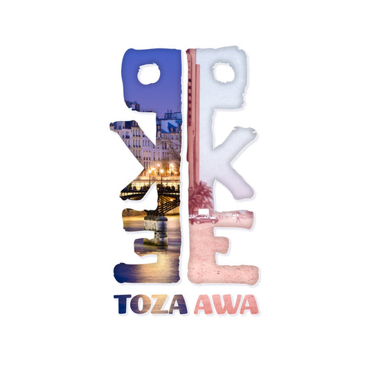 Pochette de : TOZA AWA - PARIS KINSHASA EXPRESS (CD)