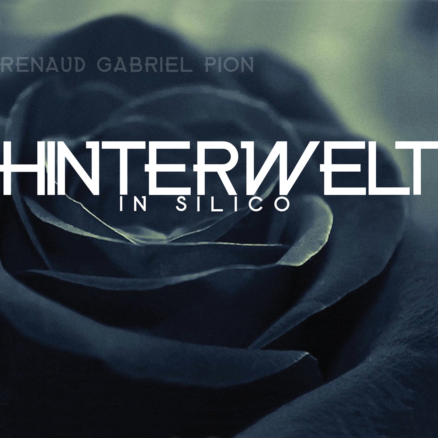 Pochette de : HINTERWELT IN SILICO - RENAUD GABRIEL PION (CD)