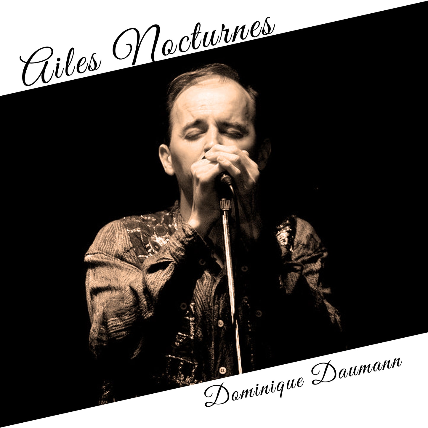 Pochette de : AILES NOCTURNES - DOMINIQUE DAUMANN (CD)