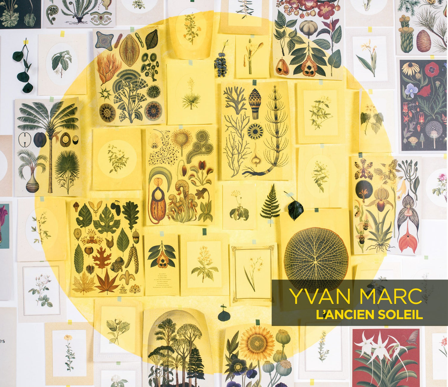 Pochette de : L’ANCIEN SOLEIL - YVAN MARC (CD)
