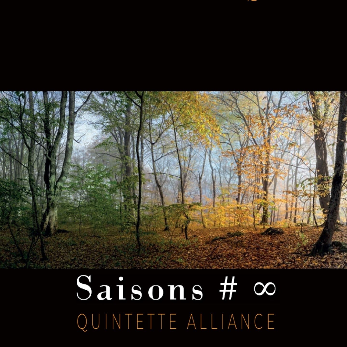 Pochette de : SAISONS - QUINTETTE ALLIANCE (CD)