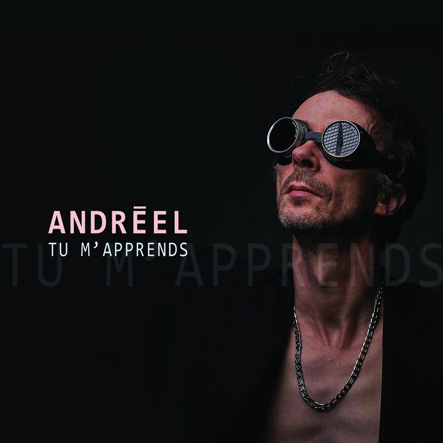 Pochette de : TU M'APPRENDS - ANDREEL (CD)