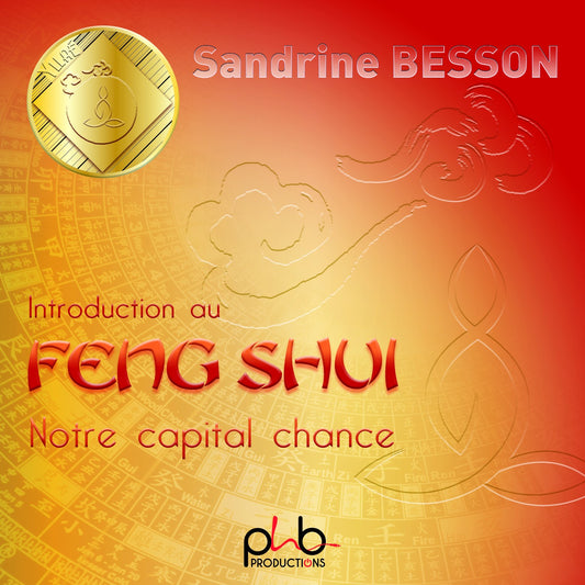 Pochette de : INTRODUCTION AU FENG SHUI NOTRE CAPITAL CHANCE - SANDRINE BESSON (CD)