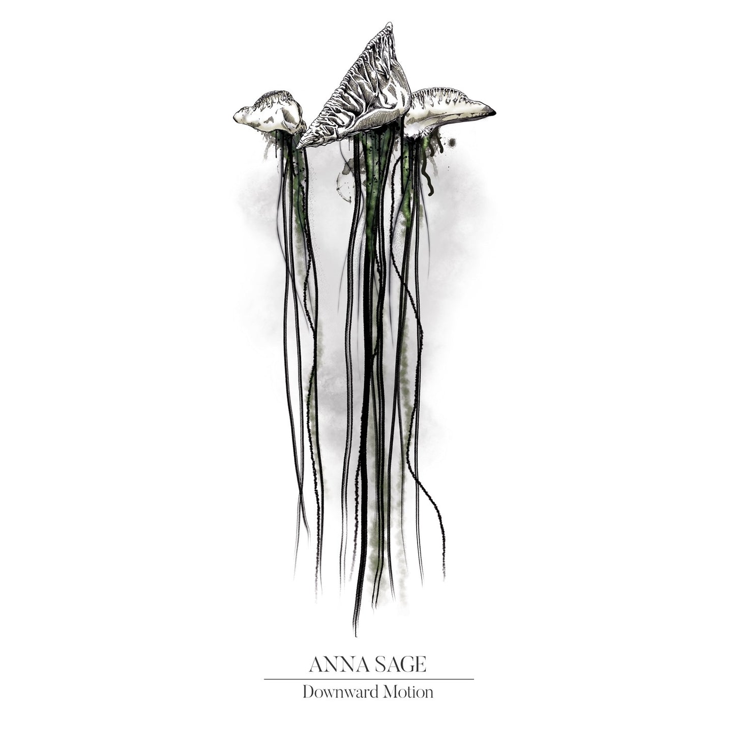 Pochette de : DOWNWARD MOTION - ANNA SAGE (33T)