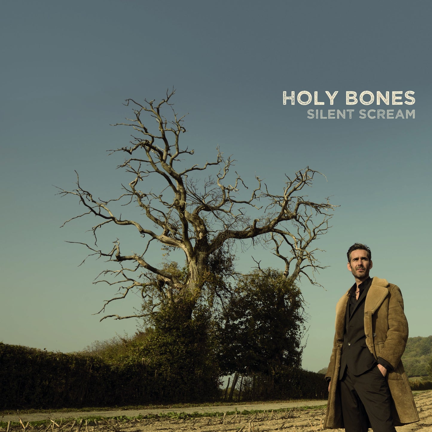 Pochette de : SILENT SCREAM - HOLY BONES (CD)