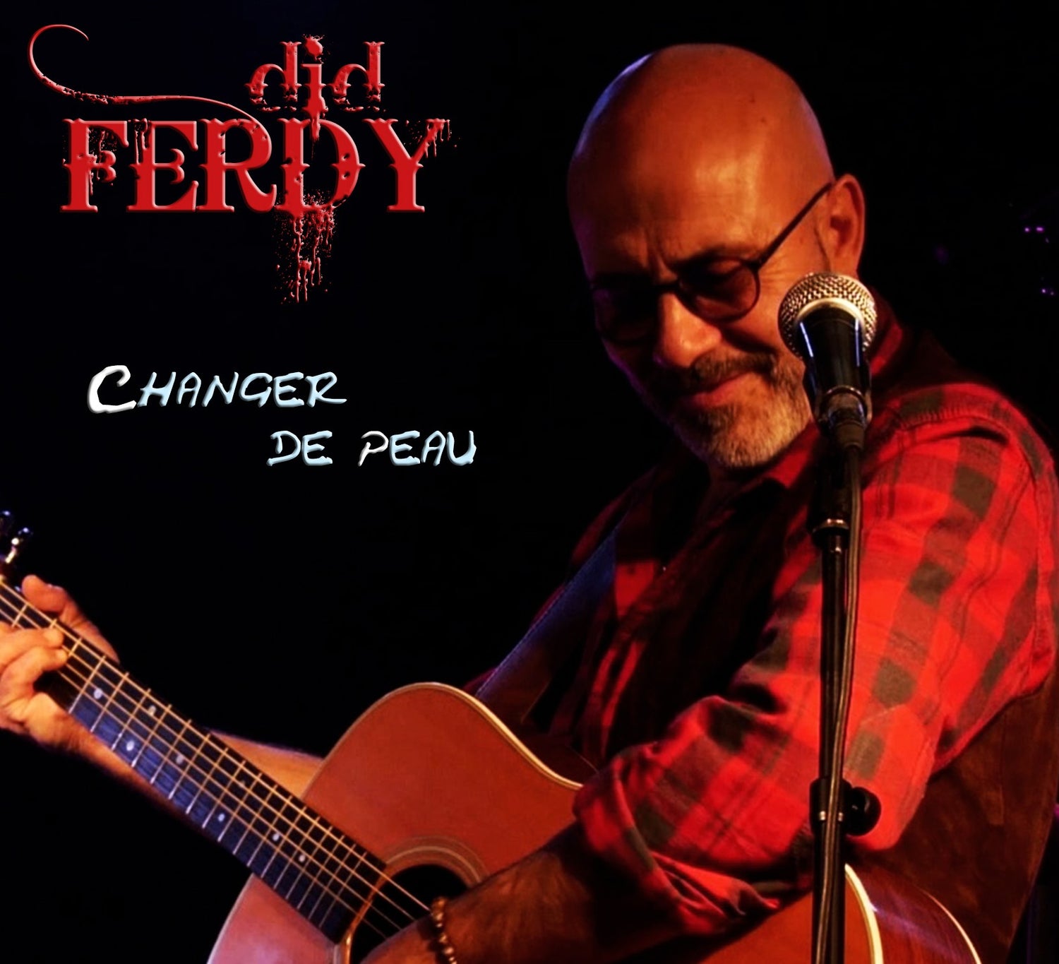 Pochette de : CHANGER DE PEAU - DID FERDY (CD)