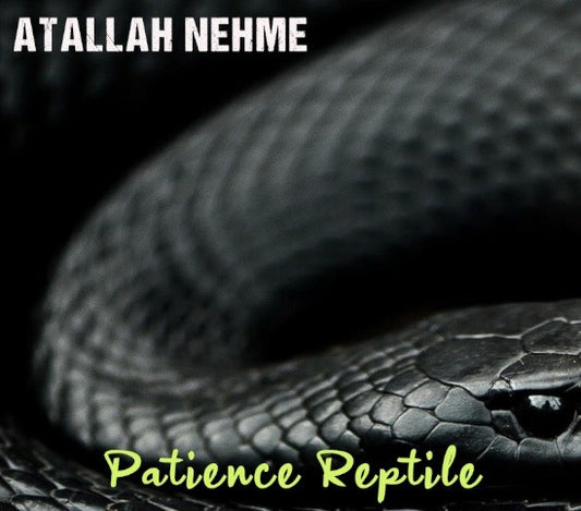 Pochette de : PATIENCE REPTILE - ATALLAH NEHME (CD)