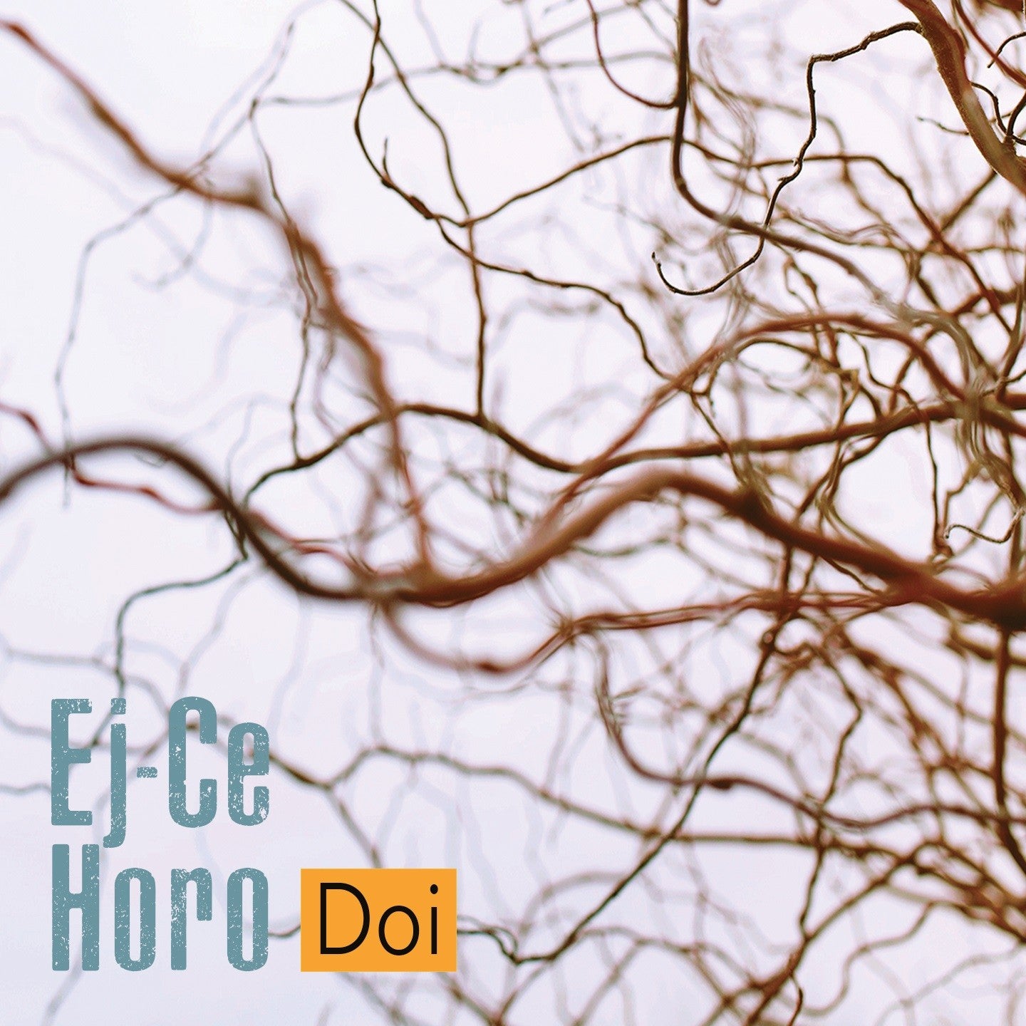 Pochette de : DOI - EJ CE HORO (CD)