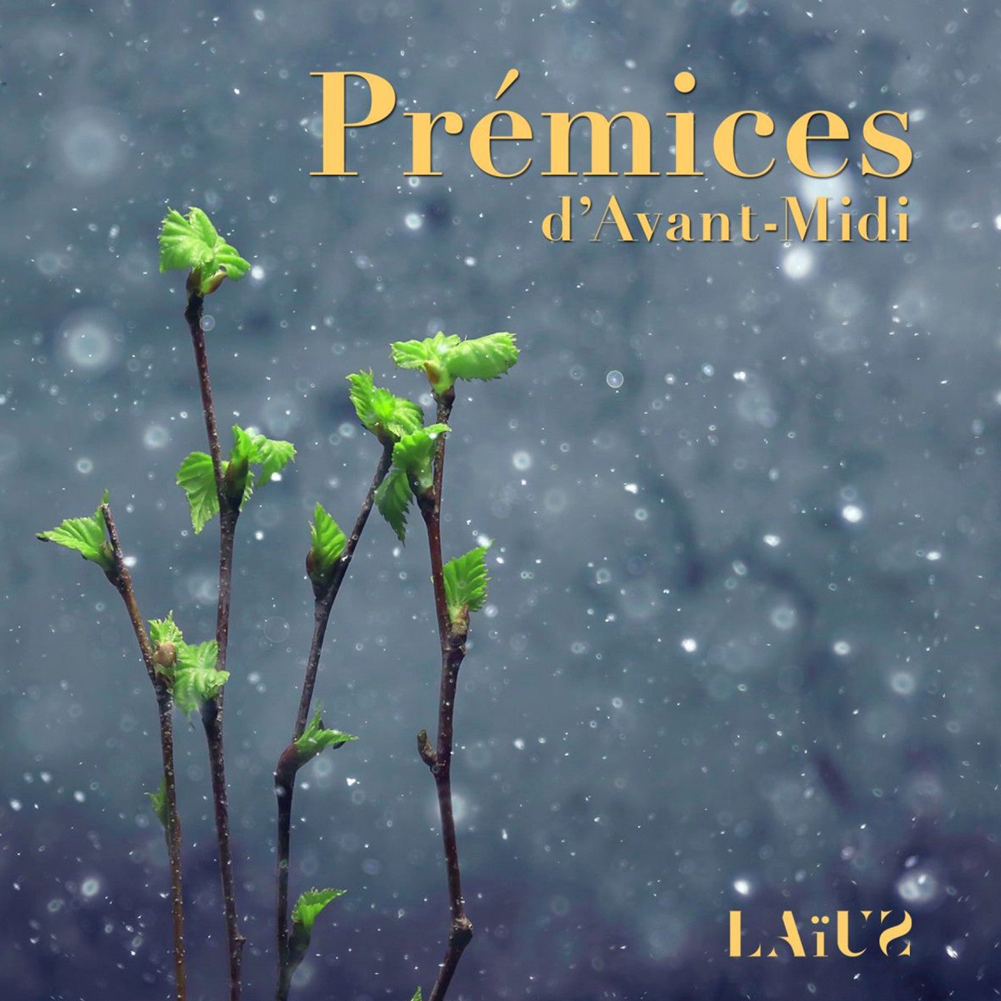 Pochette de : PRÉMICES D'AVANT-MIDI - LAIUS (CD)