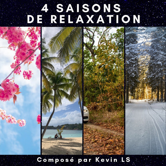 Pochette de : 4 SAISONS DE RELAXATION - KEVIN LS (CD)
