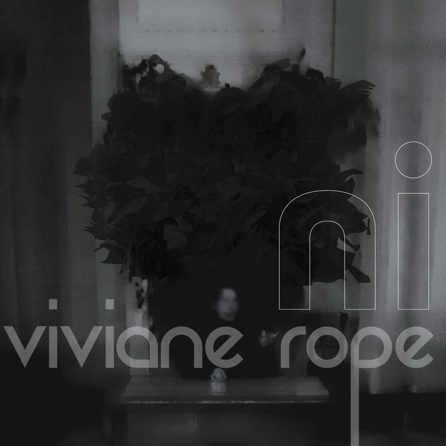 Pochette de : NI - VIVIANE ROPE (CD)