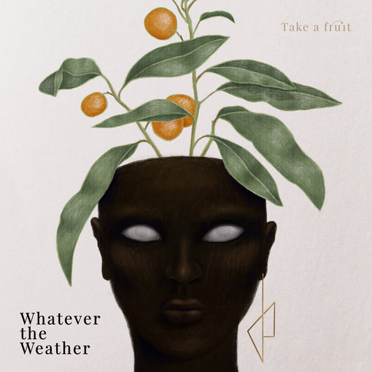 Pochette de : TAKE A FRUIT - WHATEVER THE WEATHER (DOUBLE VINYLE 33T)