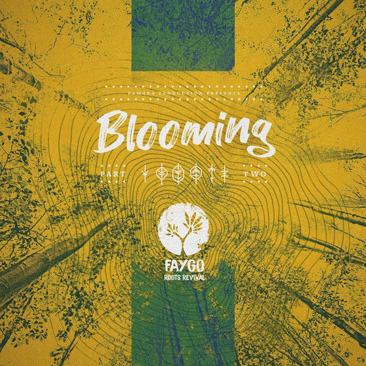 Pochette de : BLOOMING #2 - FAYGO (33T)