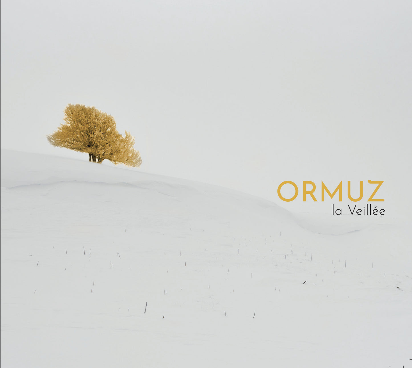 Pochette de : LA VEILLÉE - ORMUZ (CD)