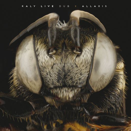 Pochette de : ALLAXIS - KALY LIVE DUB (DOUBLE VINYLE 33T)