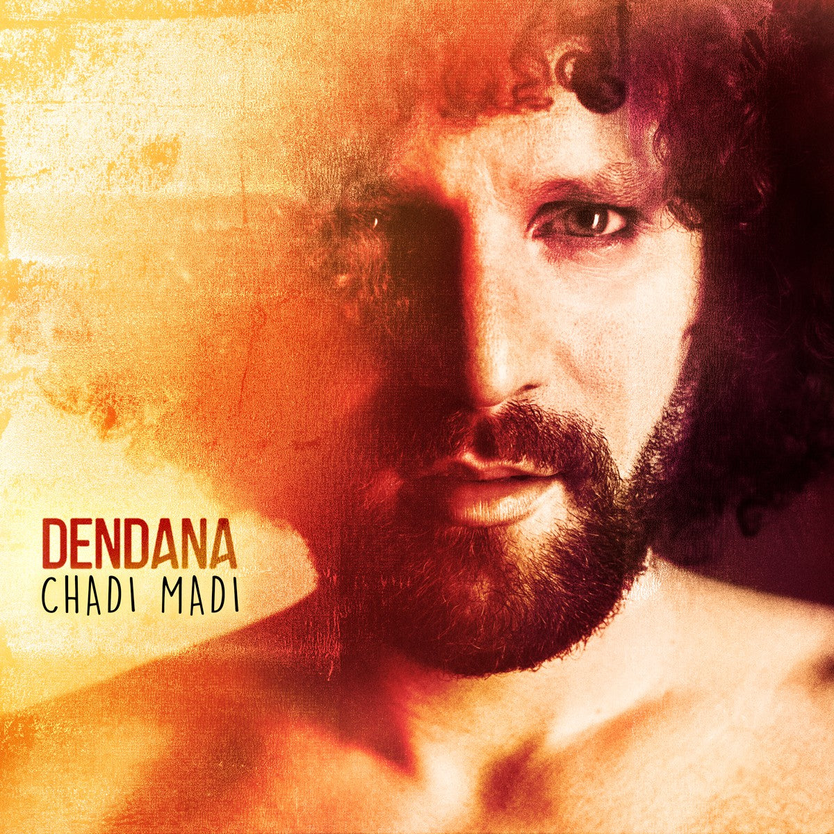 Pochette de : CHADI MADI - DENDANA (CD)