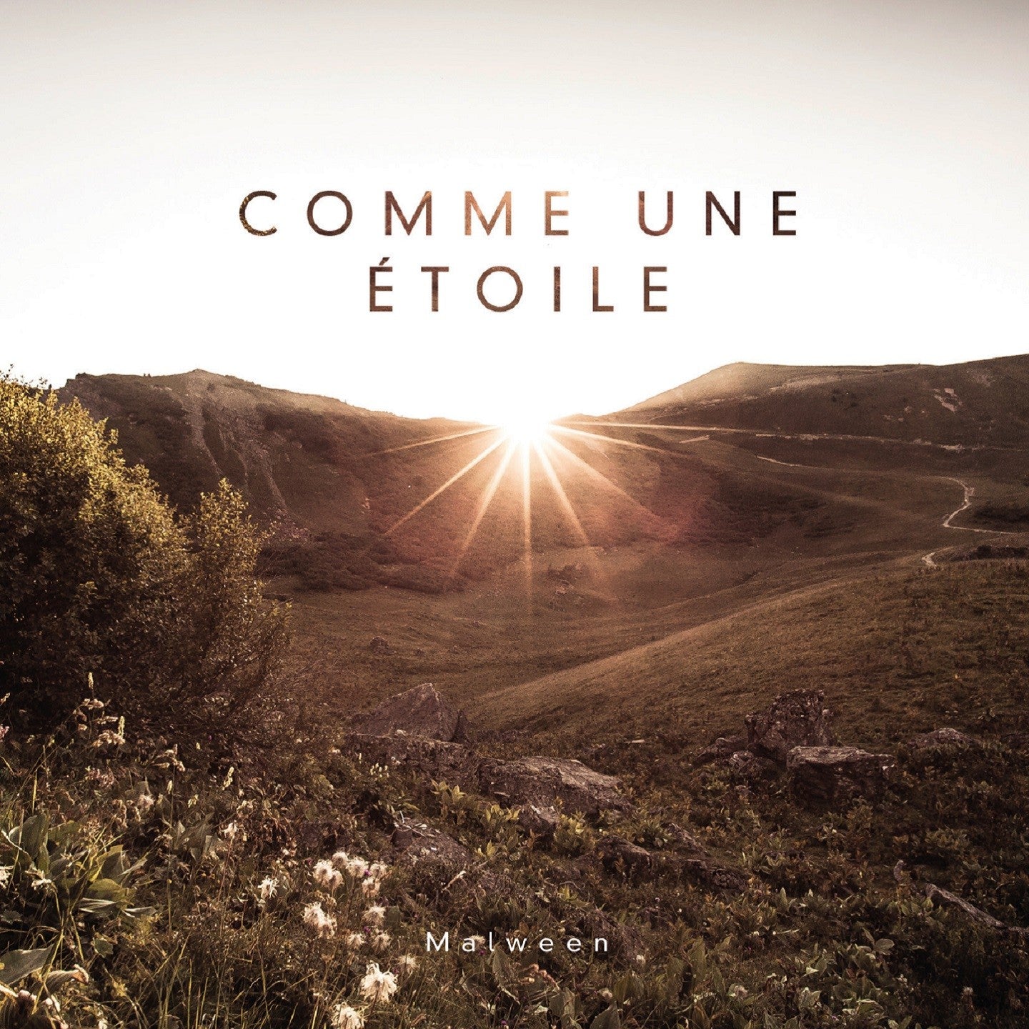 Pochette de : COMME UNE ÉTOILE - MALWEEN (CD)