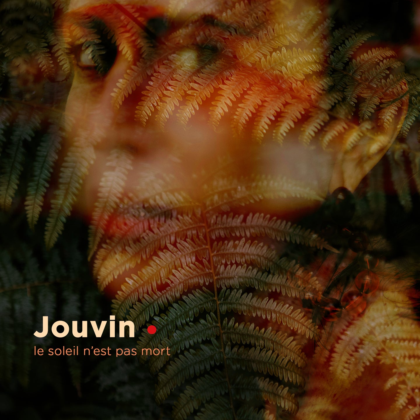 Pochette de : LE SOLEIL N'EST PAS MORT - JOUVIN (CD)