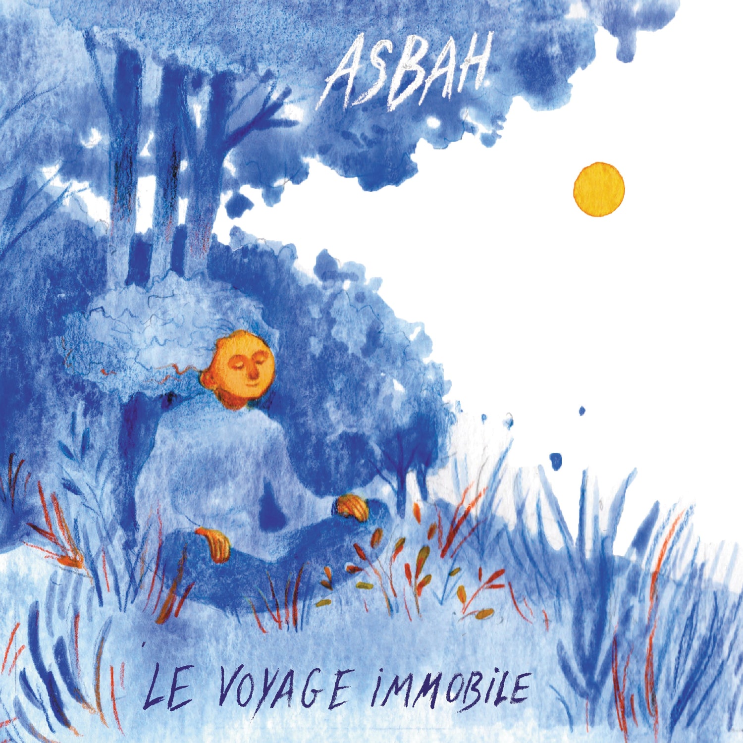 Pochette de : LE VOYAGE IMMOBILE - ASBAH (CD)