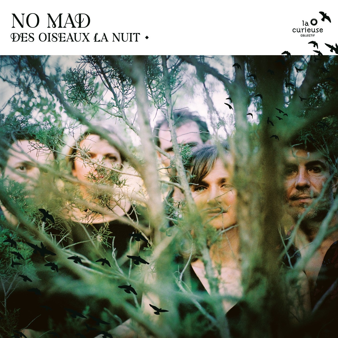 Pochette de : DES OISEAUX LA NUIT - NO MAD (CD)