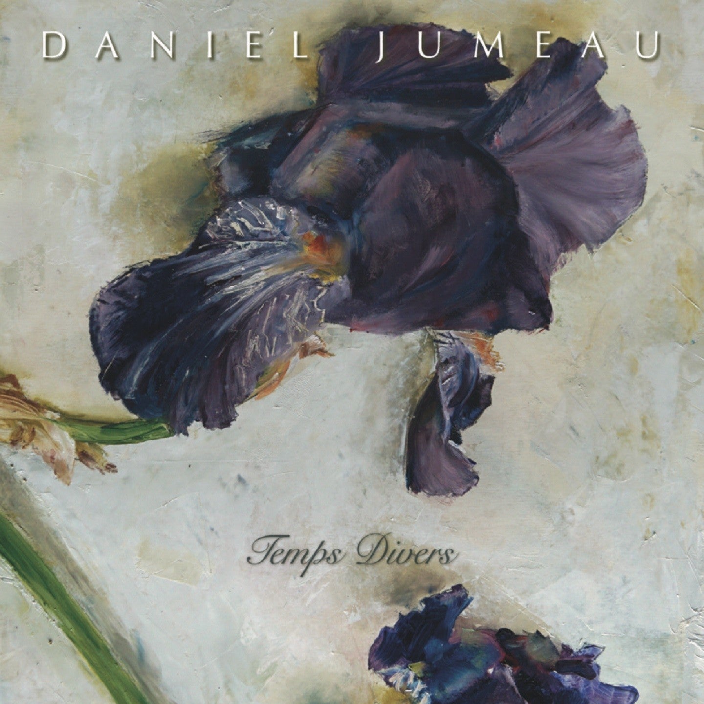 Pochette de : TEMPS DIVERS - DANIEL JUMEAU (CD)