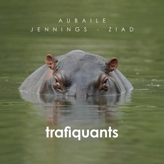 Pochette de : TRAFIQUANTS - DAVID AUBAILE (CD)