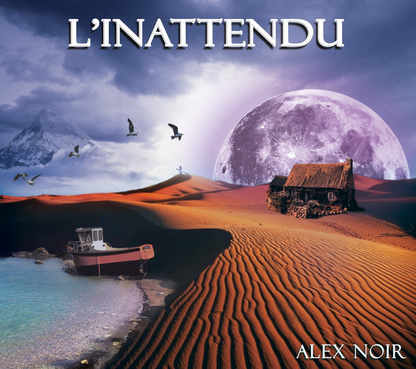 Pochette de : L'INATTENDU - ALEX NOIR (CD)