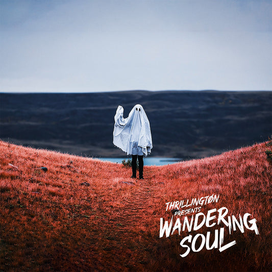 Pochette de : WANDERING SOUL - THRILLINGTON (CD)