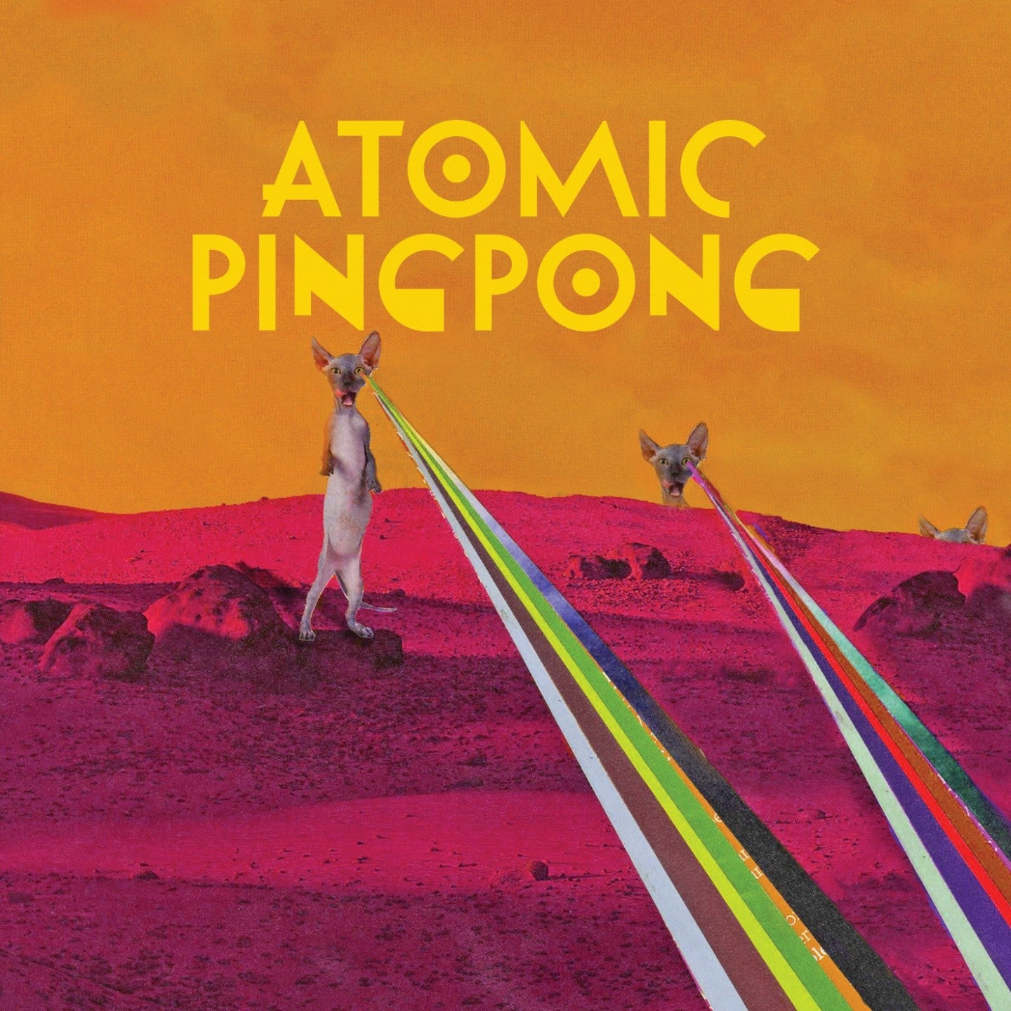 Pochette de : LIVE FROM THE MOUMOUNE - ATOMIC PING PONG (CD)