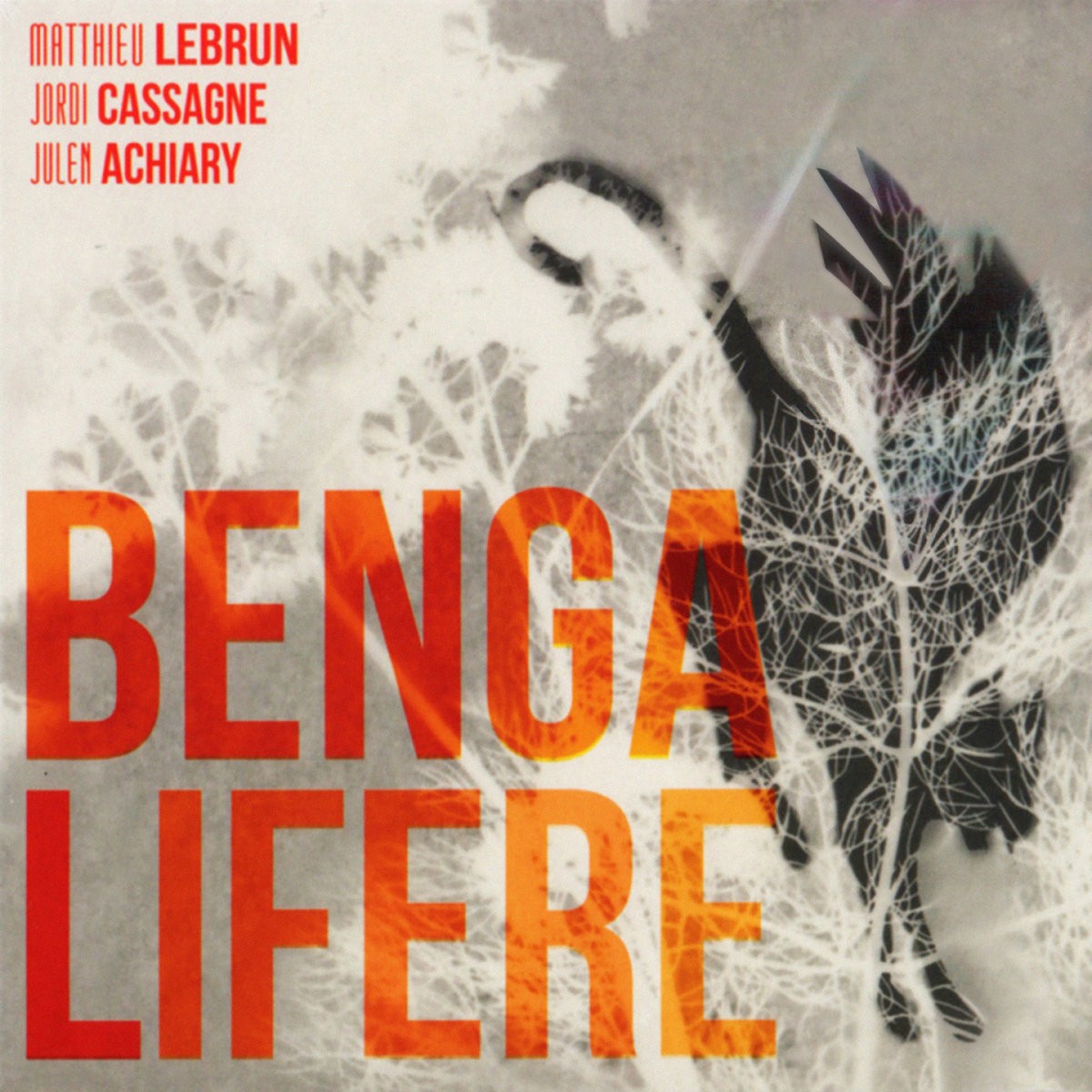 Pochette de : BENGALIFÈRE - MATTHIEU LEBRUN JORDI CASSAGNE / JULEN ACHIARY (CD)