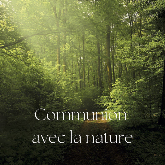 Pochette de : COMMUNION AVEC LA NATURE - KEVIN LS (CD)