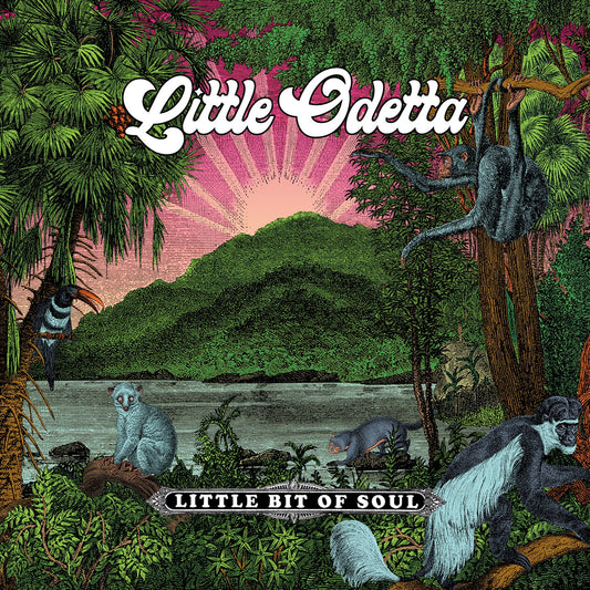 Pochette de : LITTLE BIT OF SOUL - LITTLE ODETTA (CD)