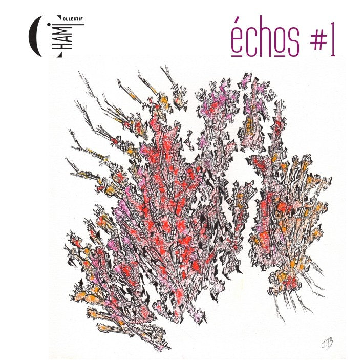 Pochette de : ECHOS - CHAMI (CD)