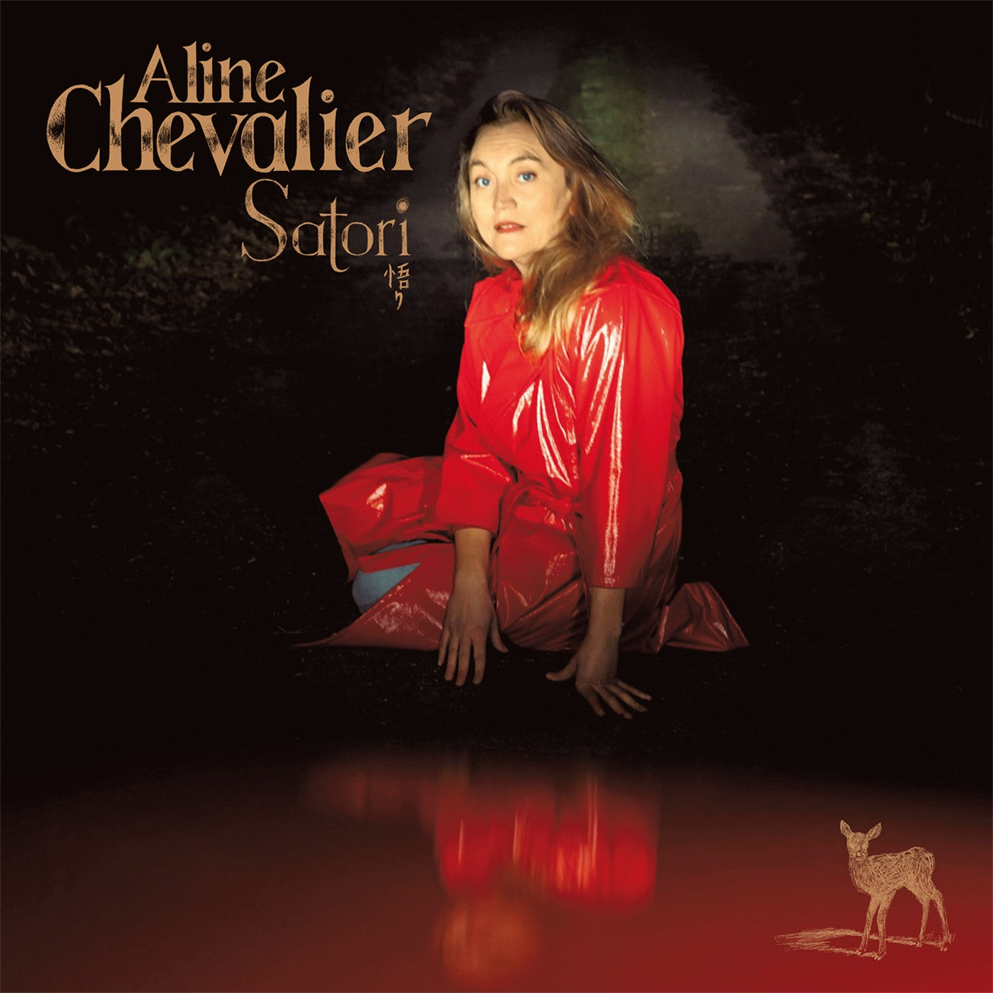 Pochette de : SATORI - ALINE CHEVALIER (CD)