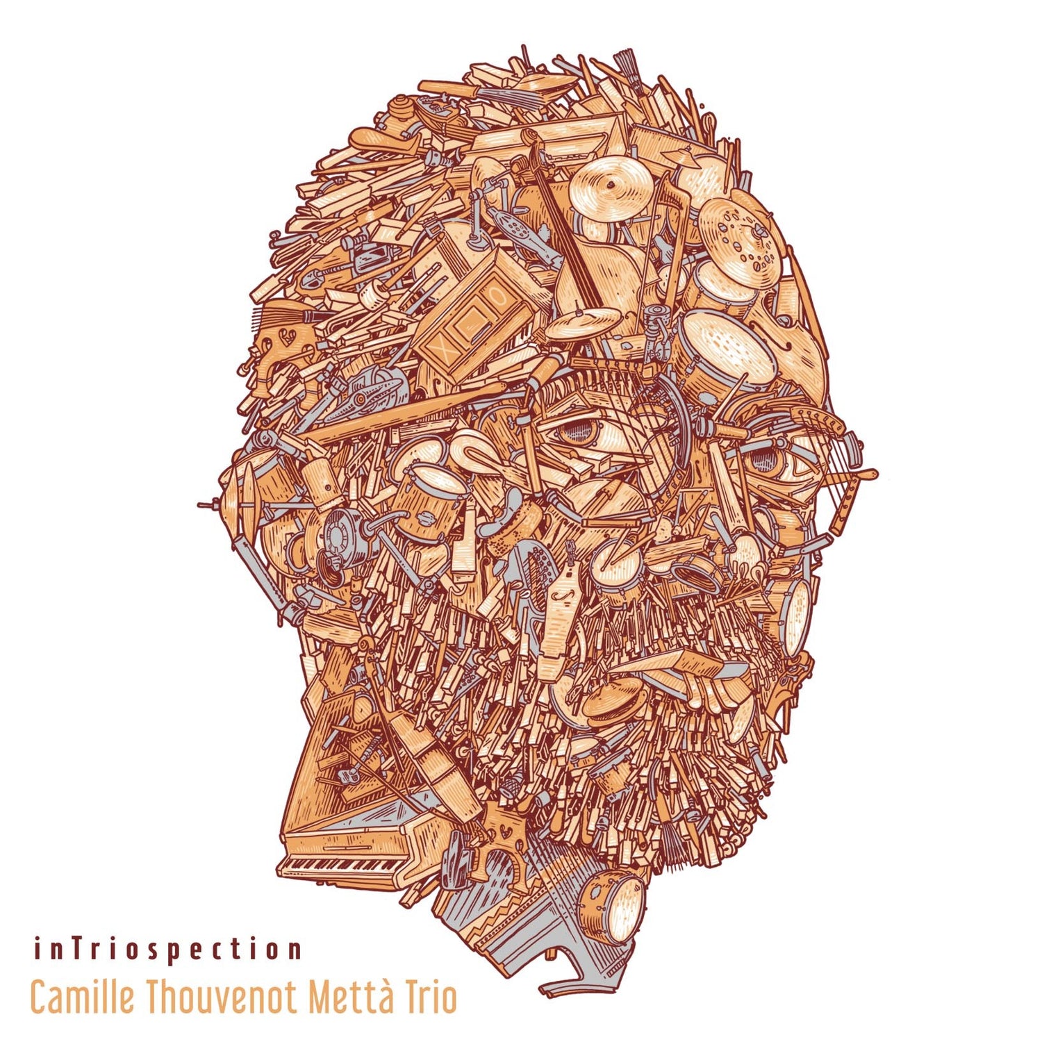 Pochette de : INTRIOSPECTION - CAMILLE THOUVENOT METTA TRIO (CD)