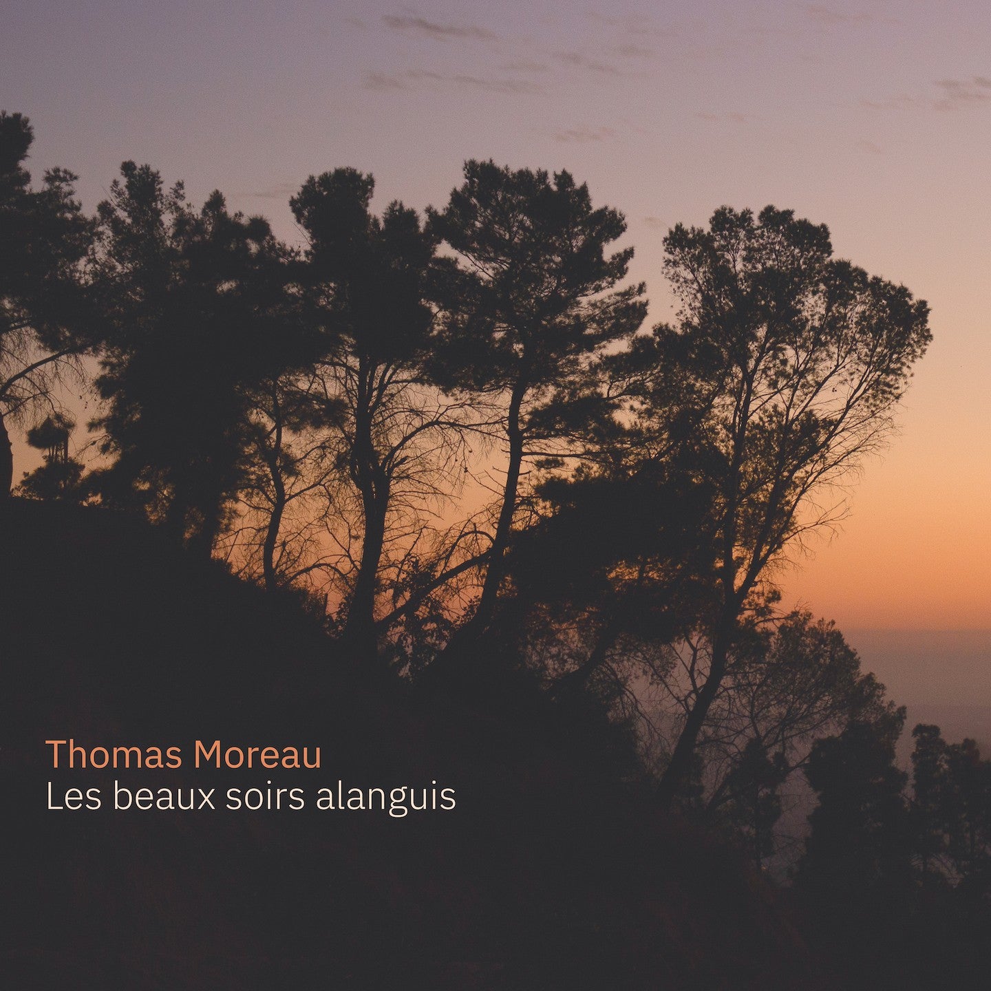 Pochette de : LES BEAUX SOIRS ALANGUIS - THOMAS MOREAU (CD)