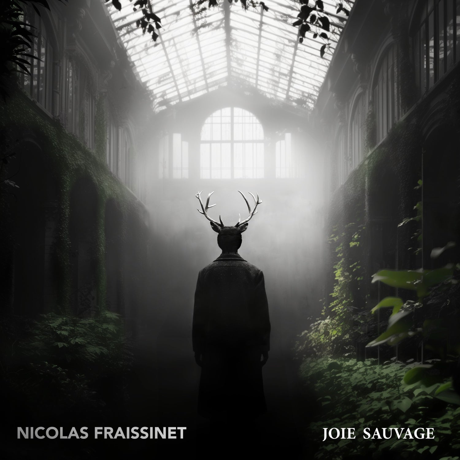 Pochette de : JOIE SAUVAGE - NICOLAS FRAISSINET (CD)