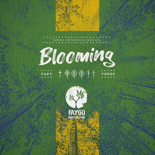 Pochette de : BLOOMING #3 - FAYGO (33T)