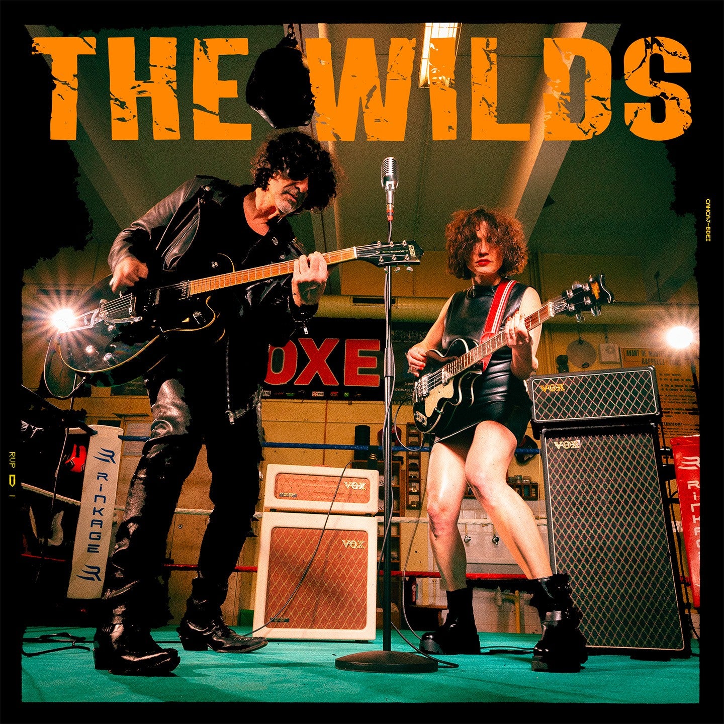 Pochette de : ROCK TO THE BONE - THE WILDS (33T)