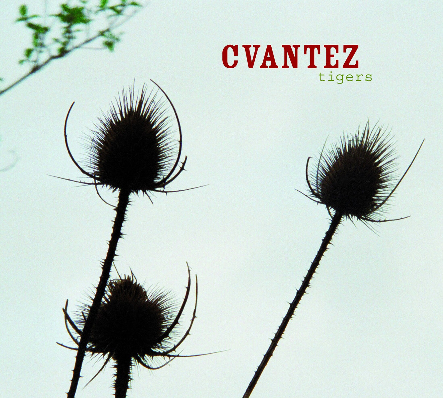 Pochette de : TIGERS - CVANTEZ (CD)